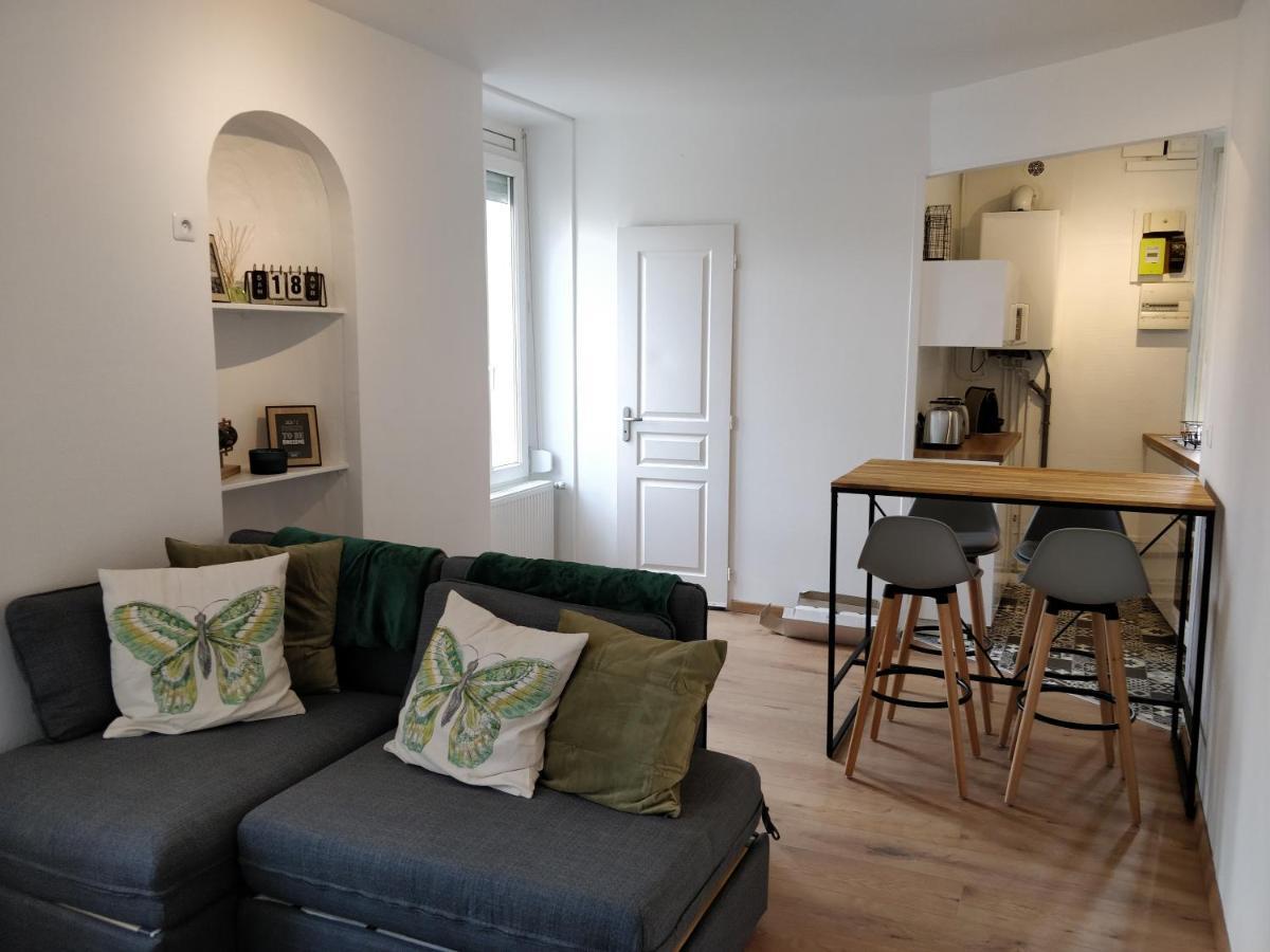 Cosy T2 31M2 - Centre-Ville Dijon - Gare Et Darcy Eksteriør billede