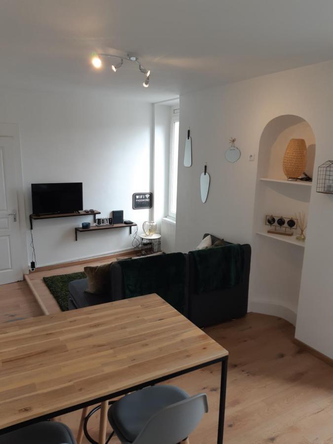 Cosy T2 31M2 - Centre-Ville Dijon - Gare Et Darcy Eksteriør billede
